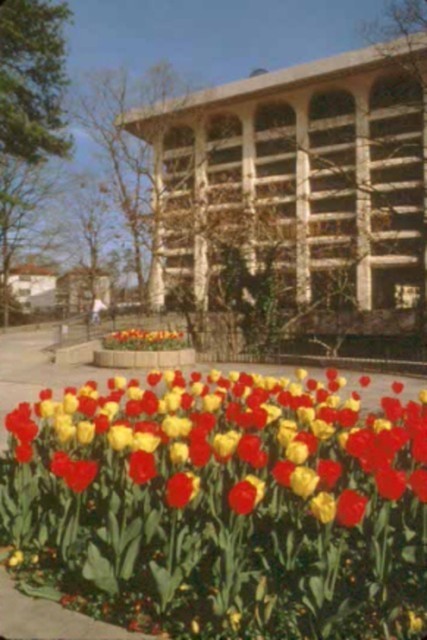 Woodruff Library